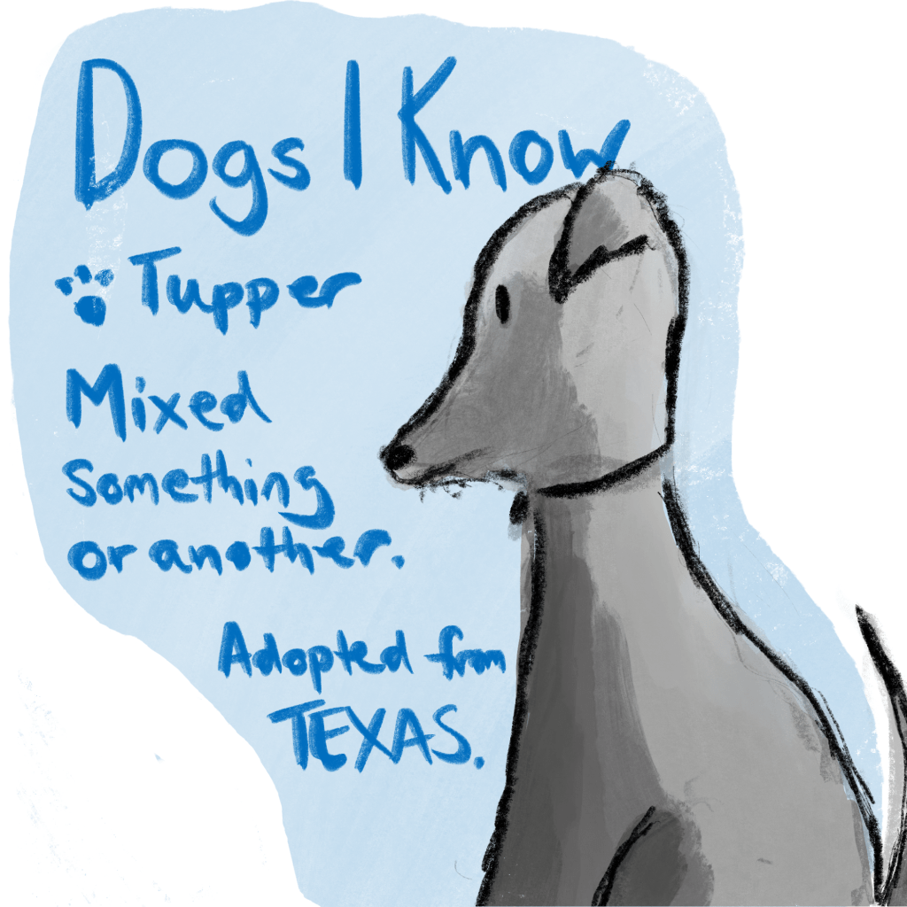 Dogs I Know:&nbsp;Tupper