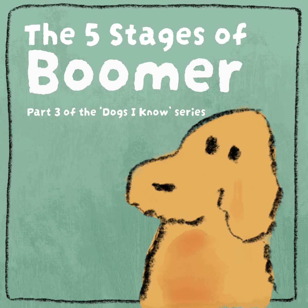 The 5 stages of&nbsp;Boomer